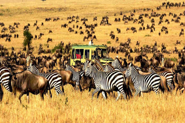 Tanzania Camping Safari