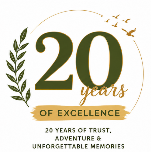 20yrs_Excellence_Logo